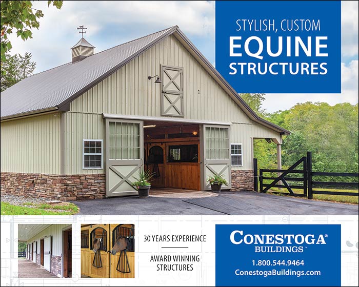 Barns Arenas Footings Featured Ads At East Coast Equestrian