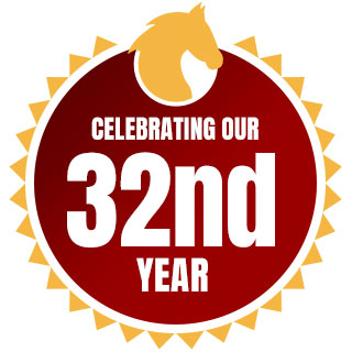 Celebrating Our 32nd Year badge image