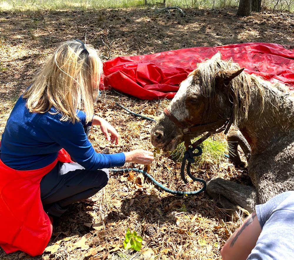 Dr. Martha Briley and Wildfire