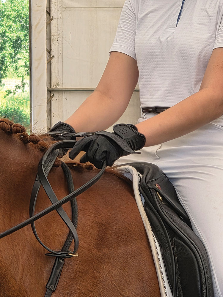 Horse rider hands in position image