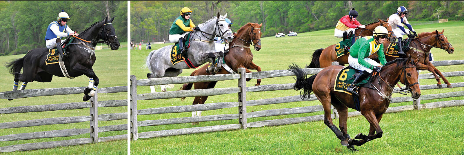 Horses jumpung at Maryland Hunt Cup