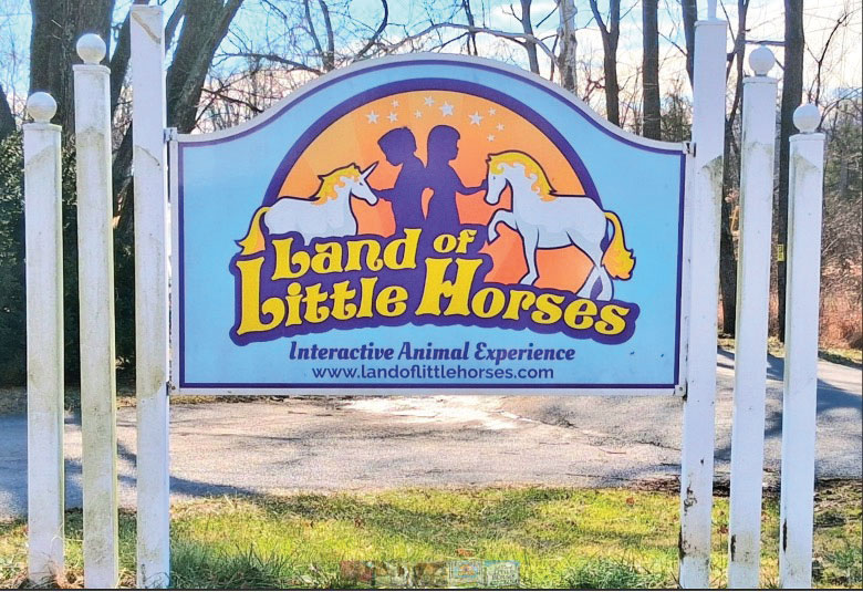 Land of Little Horses image