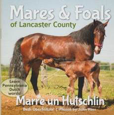 Mares & Foals of Lancaster County