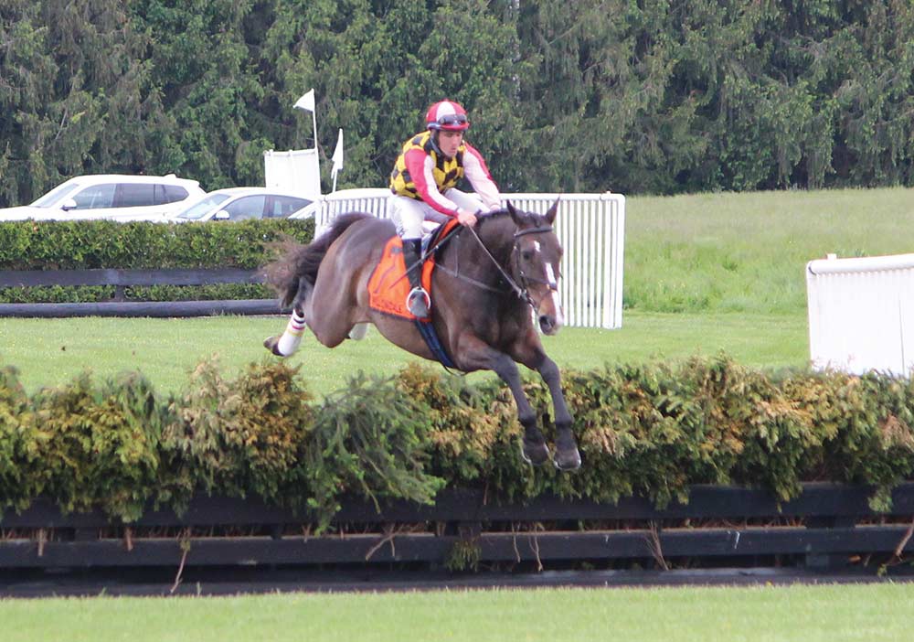 28th Annual Willowdale Steeplechase