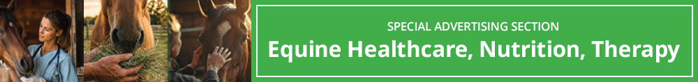 Equine Healthcare, Nutrition and Therapy banner