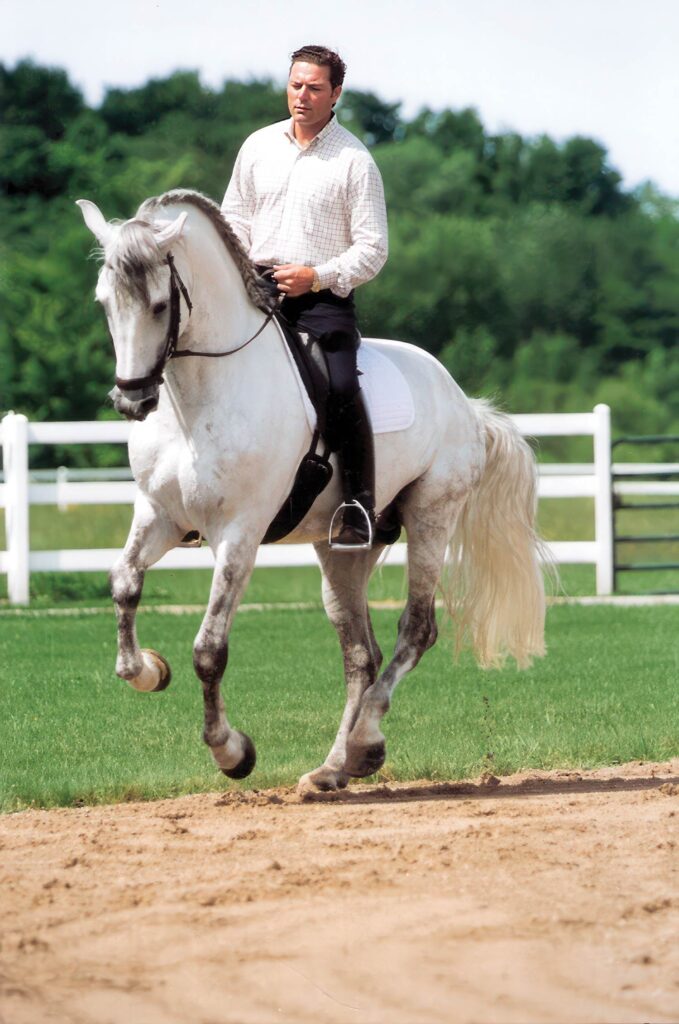 David De Wispelaere on white horse