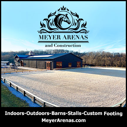 Meyer Arenas
