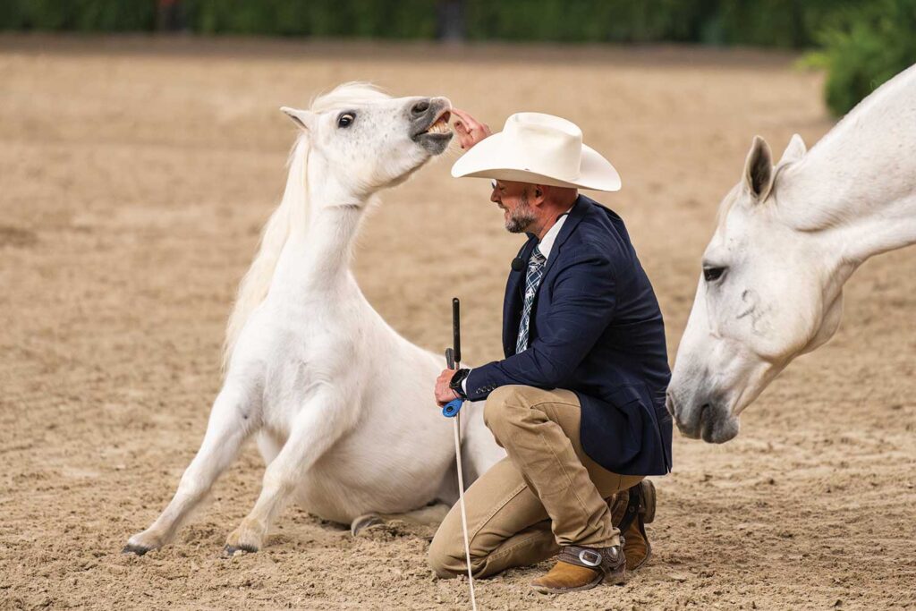 2026 PA National Horse Show Highlights