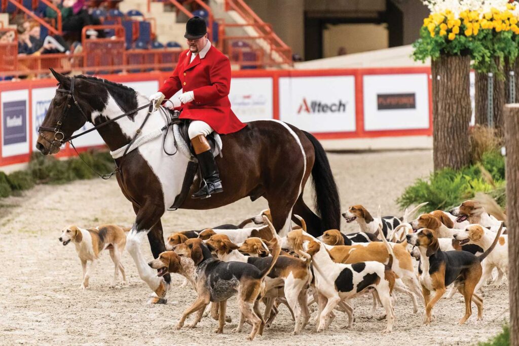 2026 PA National Horse Show Highlights