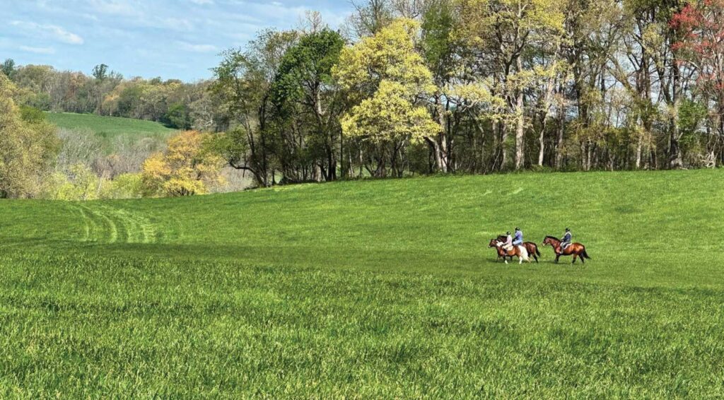 Pennsylvania is Where Horse Country is Vast and Layered